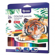 Набор цветных карандашей ANIMALS 24 цвета шестигранные, дерево. Schoolformat КЦ24-ТЖ