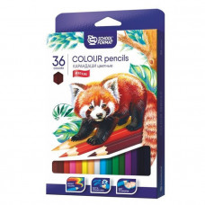Набор цветных карандашей ANIMALS 36 цветов, шестигранные, дерево. Schoolformat КЦ36-ТЖ