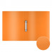 Папка на 2 кольцах пластиковая ErichKrause® Diagonal Neon, 24мм, A4, ассорти (в пакете по 4 шт.)