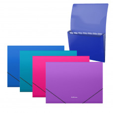 Папка-картотека пластиковая ErichKrause® Diagonal Vivid, с 12 отделениями, Check size, ассорти (в пакете по 4 шт.)