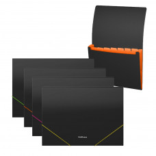 Папка-картотека пластиковая ErichKrause® Matt Accent, с 6 отделениями, A4, ассорти (в пакете по 4 шт.)