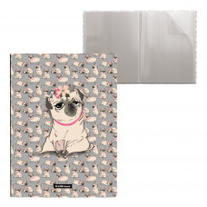 Папка файловая пластиковая ErichKrause® Chilling Dog, с 30 карманами, А4 (в пакете по 4 шт.)