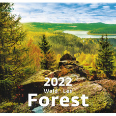 Forest (Лес). Календарь настенный на 2022 год