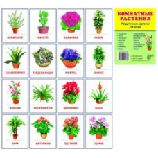 Демонстрационные картинки СУПЕР Комнатные растения. 16 раздаточных карточек с текстом (63х87мм)